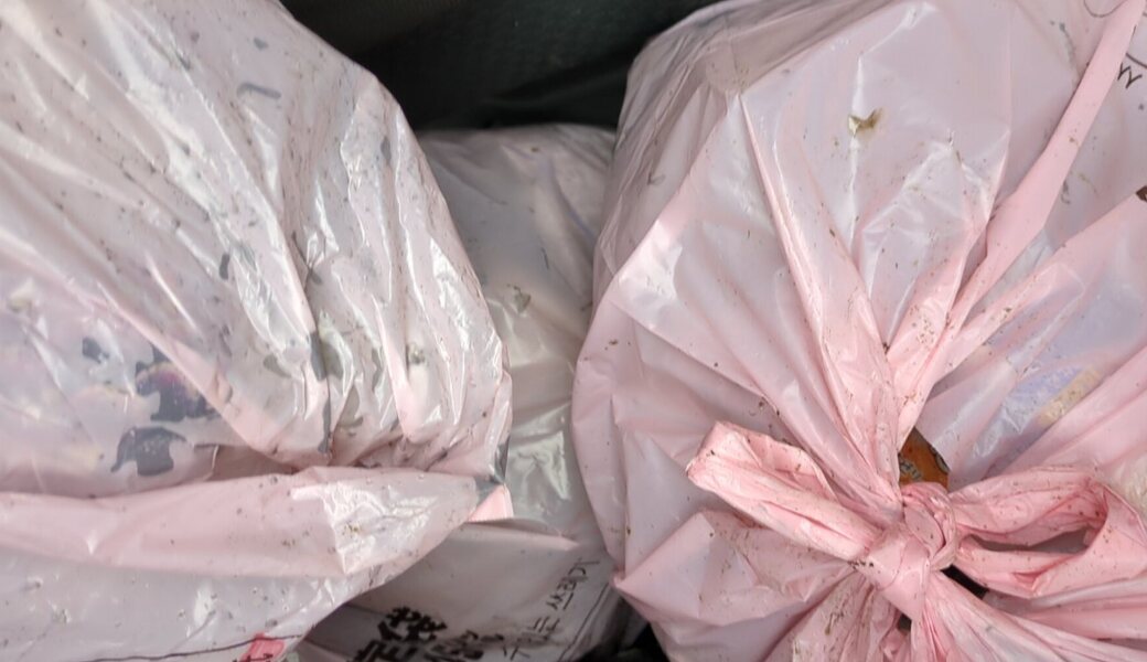 朝酌川、忌部川のゴミ拾い レポート