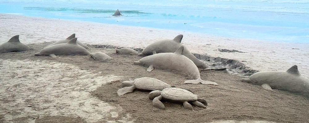 砂ウミガメ カバー