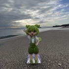 青ブタビーチクリーンオフ会宮城支部 プロフィール