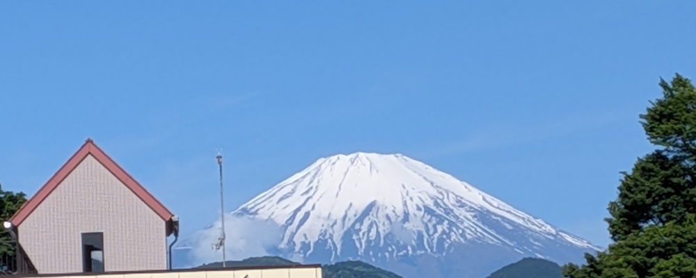 ヨッシーズ カバー