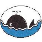 ダイビングスクール&プロショップ　Sea Roman プロフィール