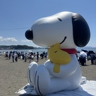 ペパーミントパティ プロフィール