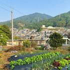 山中農園 プロフィール