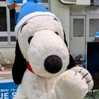 SNOOPY Loves NATURE プロフィール