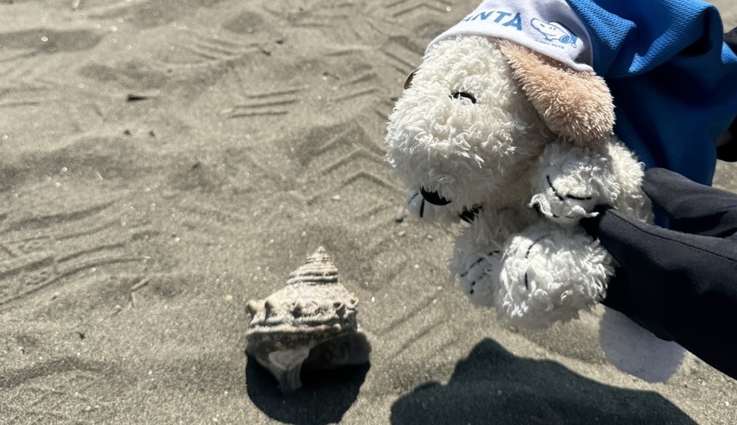 海の日に海をキレイに。 レポート