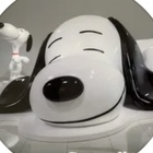 kayopy プロフィール
