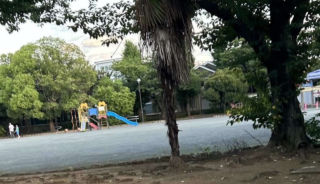 ゴミ拾い・川崎 レポート