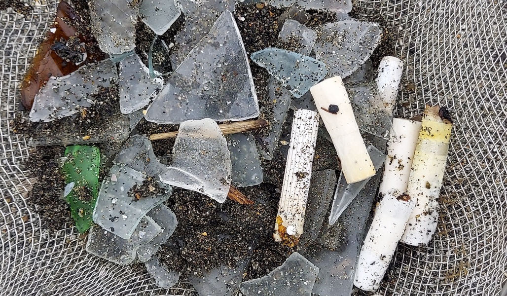 WORLD CLEANUP DAY 2026（第227回海さくらゴミ拾い レポート