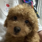 綺麗になあれ⭐️ プロフィール