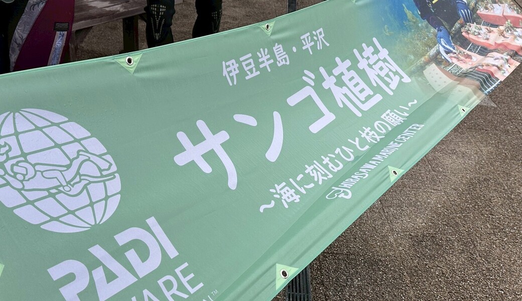 海に刻む、ひと枝の願い アイキャッチ