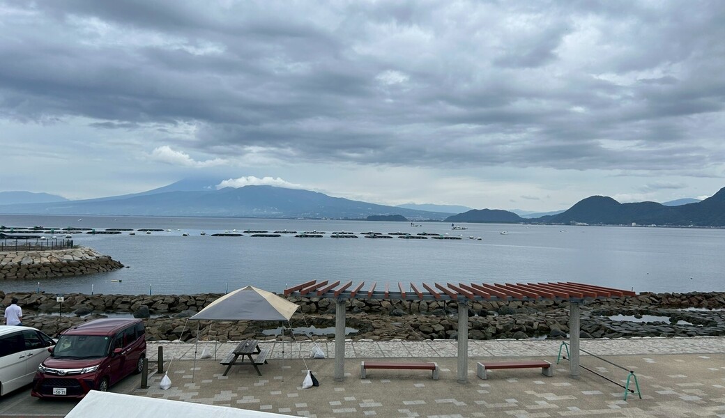海に刻む、ひと枝の願い レポート