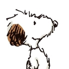ANDY プロフィール