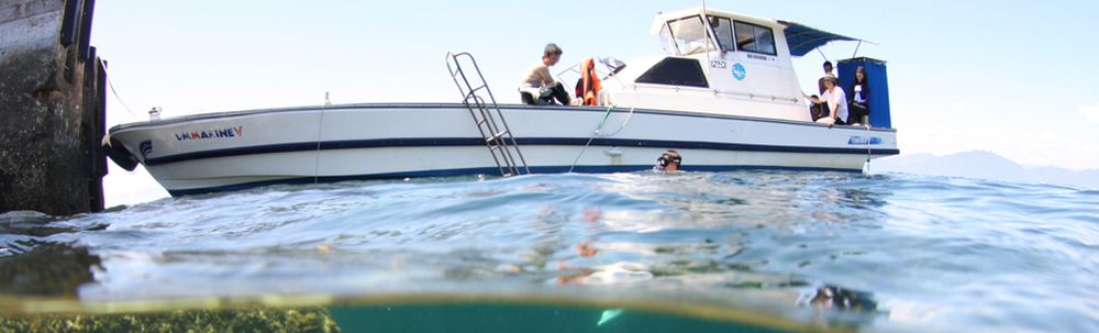 L・M・マリン カバー