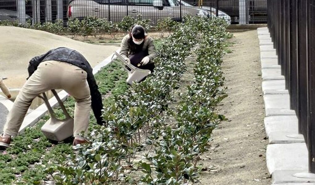 南部公園公園清掃 アイキャッチ
