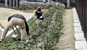 南部公園公園清掃 アイキャッチ