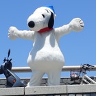 Team Iizuka プロフィール