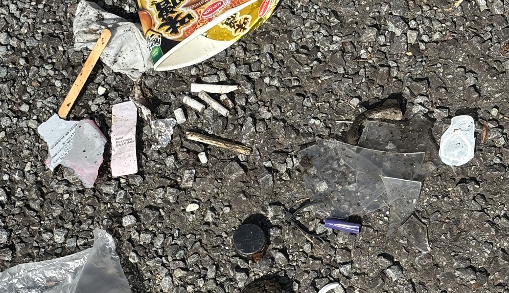 街をゴミから守ろう レポート