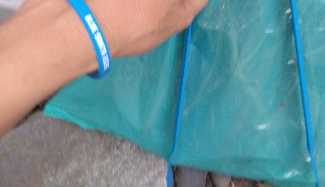 （非募集）のんびりゴミ拾い レポート