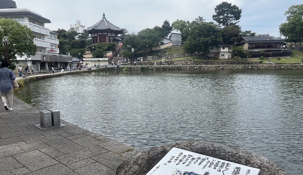 「采女祭2026」に伴う猿沢池畔の清掃活動にLTO参加します アイキャッチ