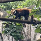 瑠璃色の地球まもり隊 プロフィール