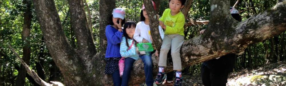 自然共育コミュニティ森のわ カバー