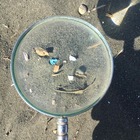 鎌倉長谷から由比ヶ浜、ゆっくりゴミ拾い プロフィール