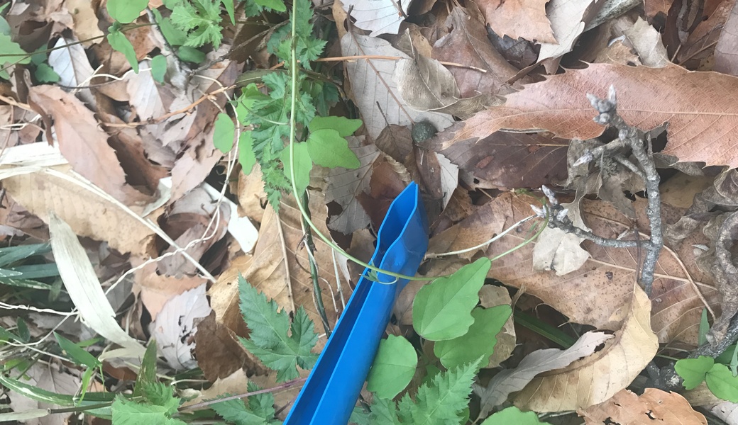 城山公園　下見ごみ拾い レポート