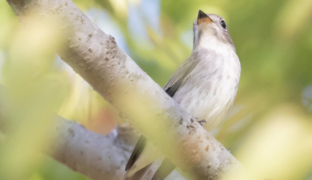 第9回BWGD レポート