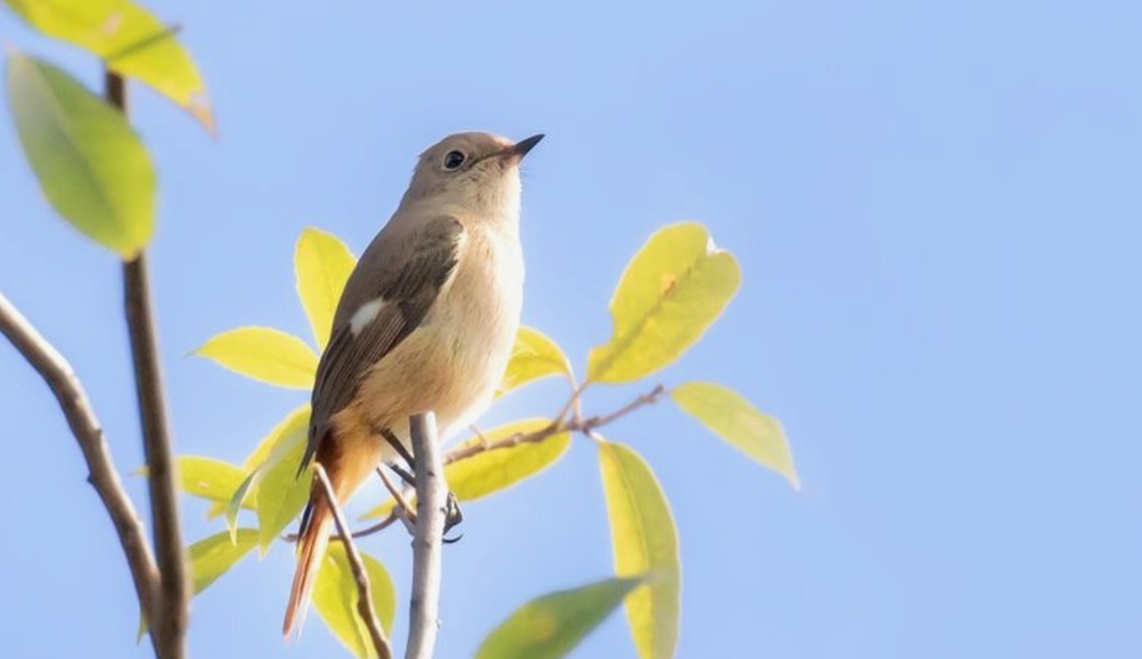 第10回BWD レポート